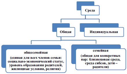 Психогенетика и психофизиология развития дошкольника - i_002.png