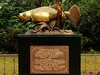 Нежданные встречи и курьезы на море и на суше - _25.jpg