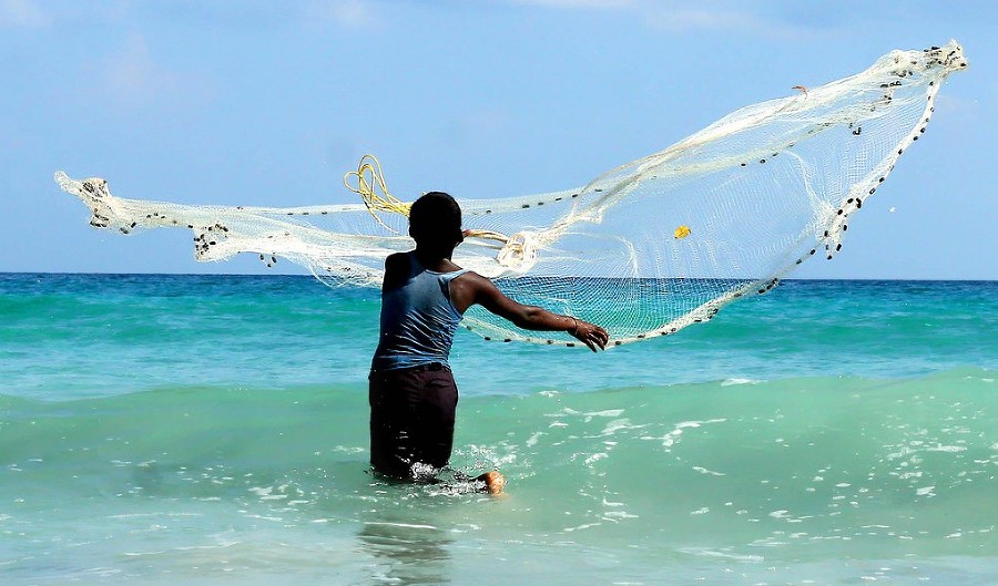 Нежданные встречи и курьезы на море и на суше - _31.jpg