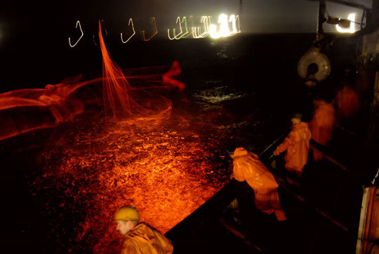 Этот неведомый подводный мир часть 4 - _10.jpg