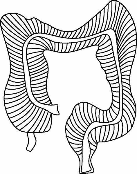 Эффективное лечение и профилактика желудочно-кишечных заболеваний - i_008.png