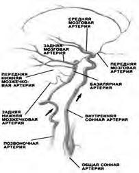 Инсульт, инфаркт, внезапная смерть. Теория сосудистых катастроф - i_001.jpg