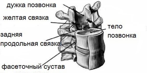 Семь минут для собственной шеи - i_003.jpg