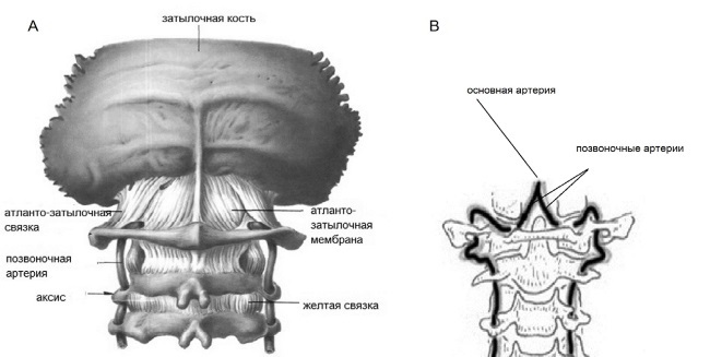 Семь минут для собственной шеи - i_004.jpg