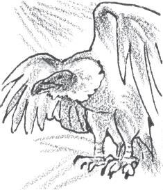 Непредвиденное путешествие - i_007.jpg