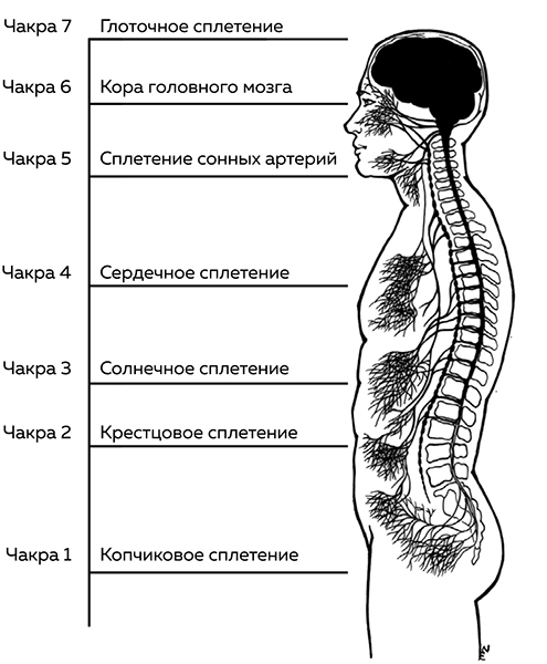 Чакры. 7 ключей для пробуждения и исцеления энергетического тела - i_001.jpg