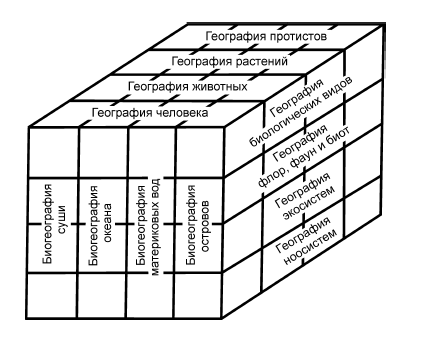 Основы биогеографии - i_008.png