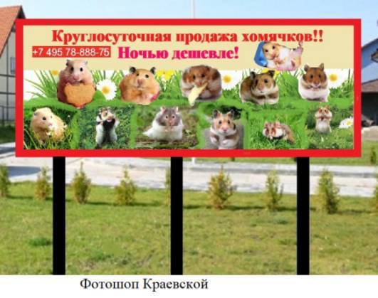 Манекен в бегах - _19.jpg