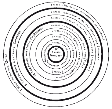 Биологическая систематика: Эволюция идей - i_005.png