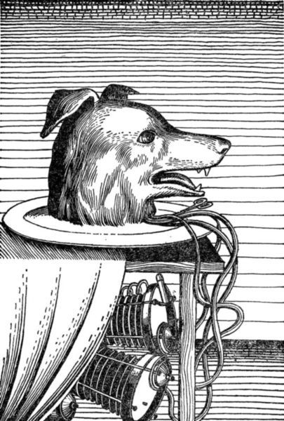 Очень долгий путь<br />(Из истории хирургии) - i_005.jpg