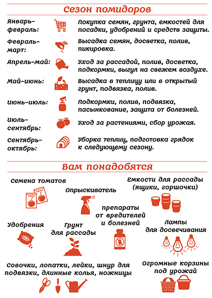 Помидоры на экогрядках. Урожай без химии - _0.jpg