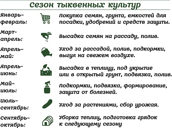 Огурцы и кабачки на экогрядках. Урожай без химии - img_0.jpeg