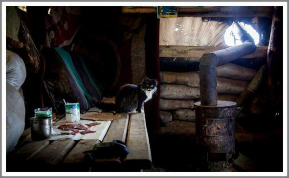 Кошкин сын (СИ) - _101.jpg