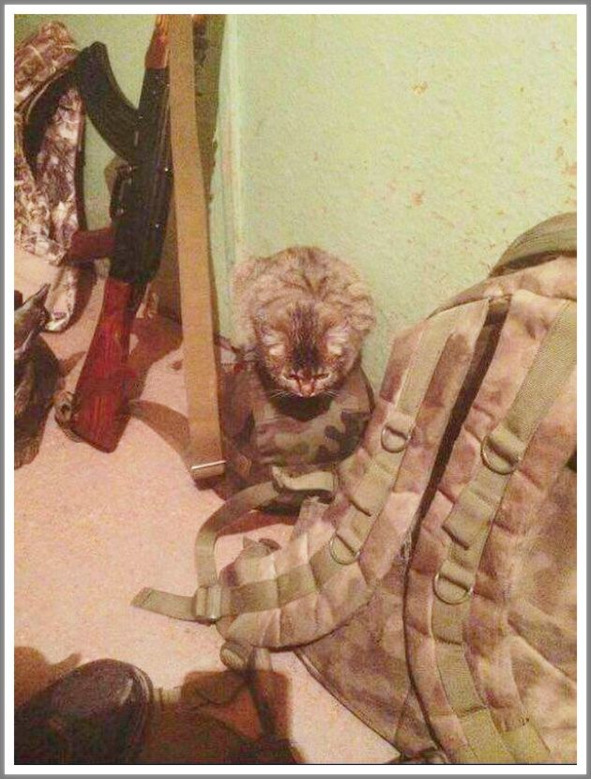 Кошкин сын (СИ) - _103.jpg