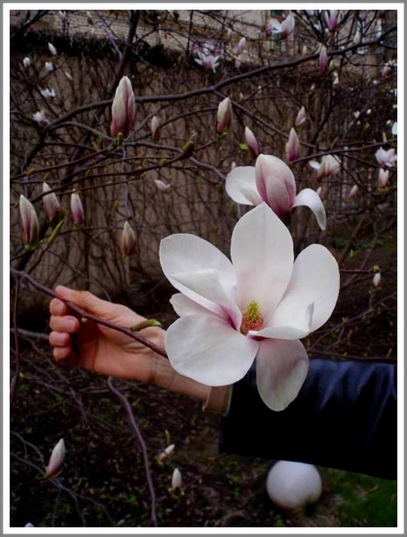 Кошкин сын (СИ) - _131.jpg