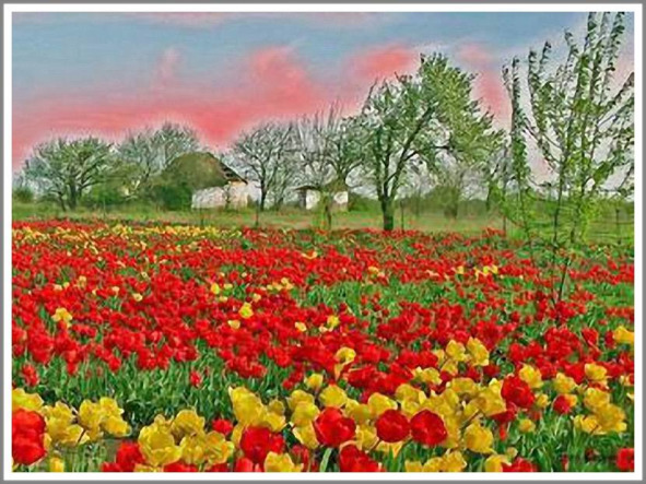 Кошкин сын (СИ) - _135.jpg