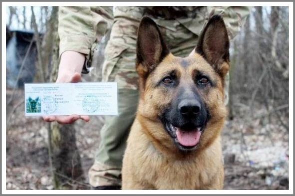 Кошкин сын (СИ) - _92.jpg