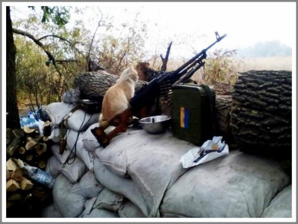 Кошкин сын (СИ) - _95.jpg