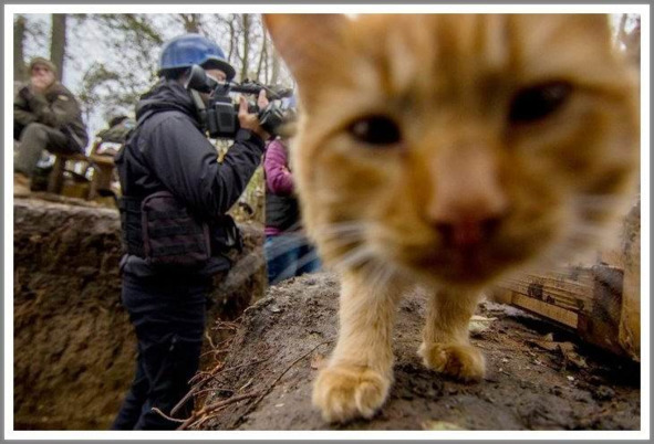 Кошкин сын (СИ) - _97.jpg