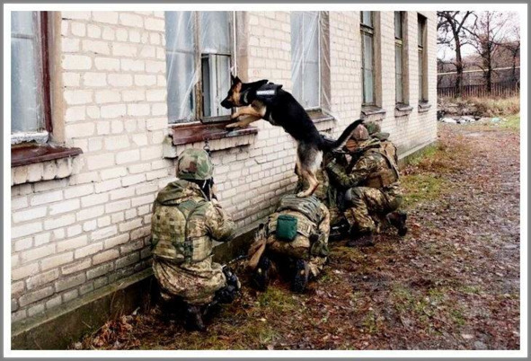 Кошкин сын (СИ) - _98.jpg