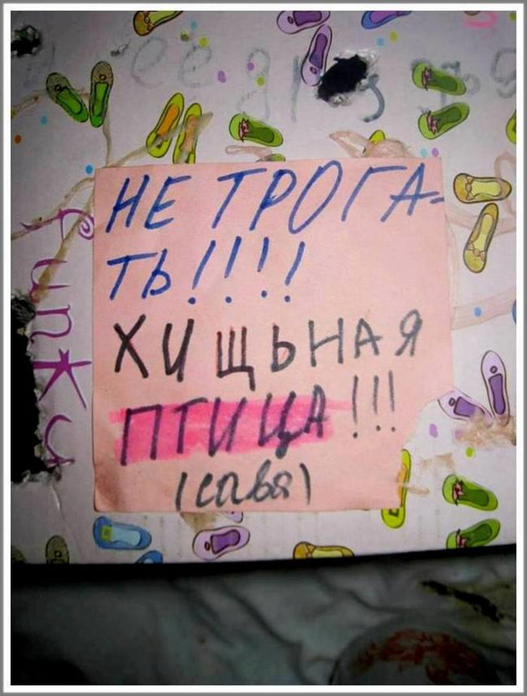 Кошкин сын (СИ) - _124.jpg