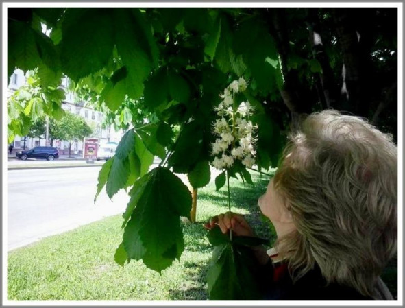 Кошкин сын (СИ) - _125.jpg