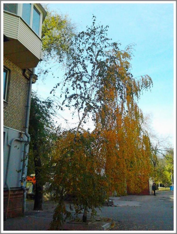 Кошкин сын (СИ) - _152.jpg