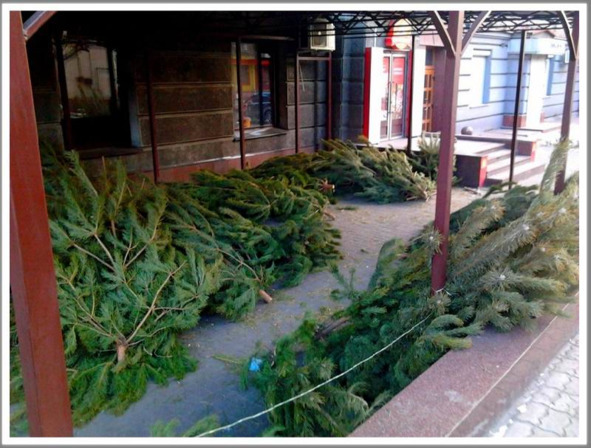 Кошкин сын (СИ) - _155.jpg