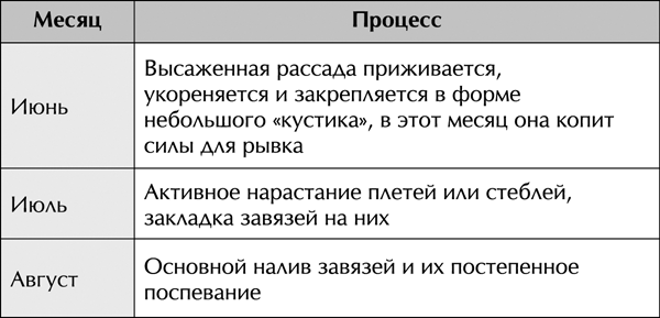 Теплицы без ошибок. С чего начать и как эффективно использовать - _14.png