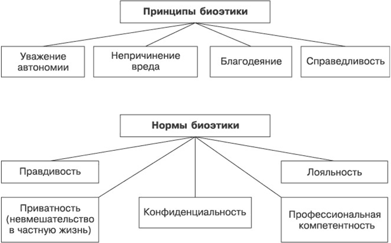 Биоэтика — узнай главное на ПостНауке Foto 17