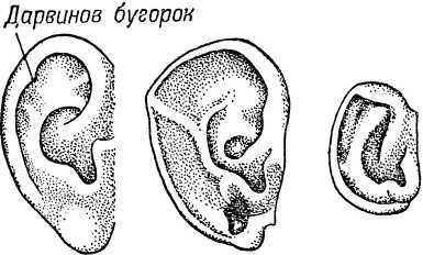 От инстинкта до разума(Очерк науки о поведении) - i_022.jpg