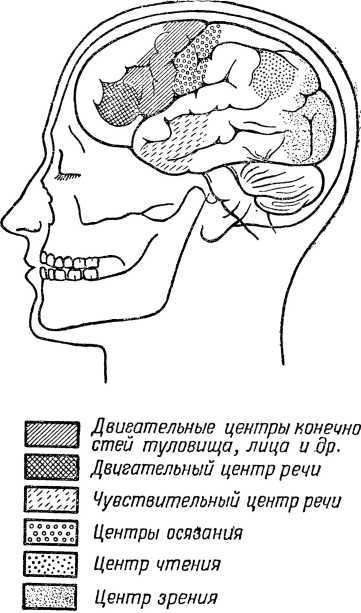 От инстинкта до разума(Очерк науки о поведении) - i_023.jpg