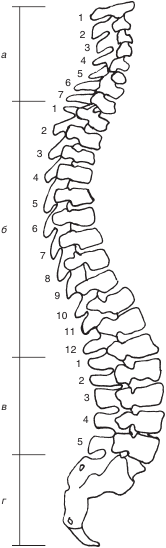 Костоправ. Исцеляющие практики - i_001.png