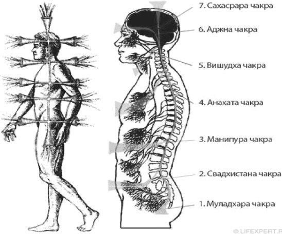 Аюрведа как она есть, в строгом соотвествии со «Шримад-Бхагаватам» и «Бхагавад-Гитой». - _6.jpg