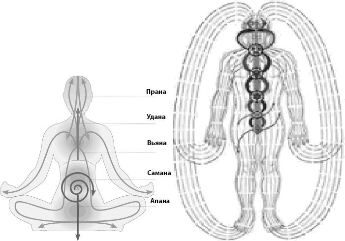 Аюрведа как она есть, в строгом соотвествии со «Шримад-Бхагаватам» и «Бхагавад-Гитой». - _7.jpg