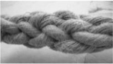 Аюрведа как она есть, в строгом соотвествии со «Шримад-Бхагаватам» и «Бхагавад-Гитой». - _8.jpg