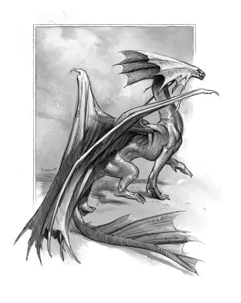 Естественная история драконов: Мемуары леди Трент - i_005.jpg