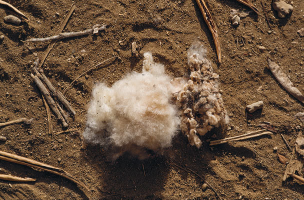 Искусство добывания огня. Для тех, кто предпочитает красоту природы городской повседневности - i_007.jpg