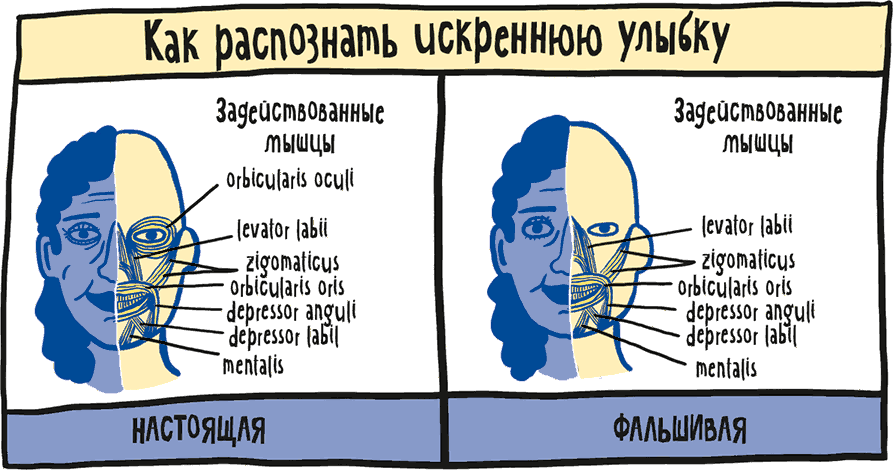 Если бы наши тела могли говорить. Руководство по эксплуатации и обслуживанию человеческого тела - i_006.png