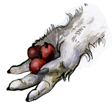 Королева ариданов. Книга третья - _3.jpg