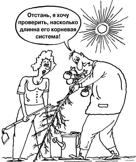 Большая книга огородника и садовода - i_014.png