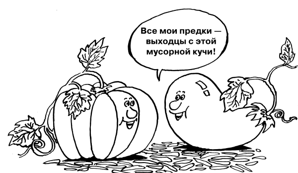 Большая книга огородника и садовода - i_015.png