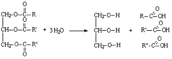 [Не]правда о нашем теле. Заблуждения, в которые мы верим - _27.jpg