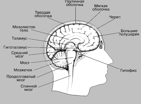 КраеВедение – Ненаучная фантастика - _2.jpg