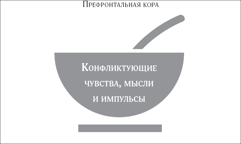 Покой, игра, развитие. Как взрослые растят маленьких детей, а маленькие дети растят взрослых - _5.png