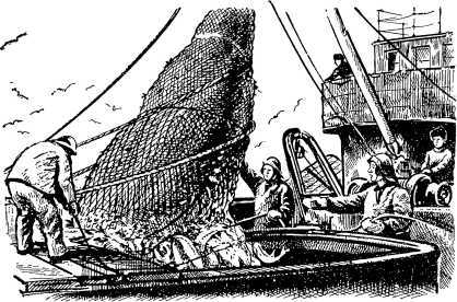 Пароход - i_104.jpg