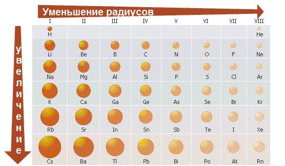 Старт-Х против ЕГЭ - _5.jpg