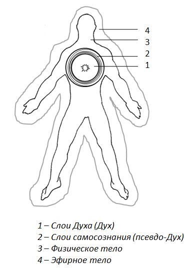 Краткий курс анатомии Существования. Часть 3. Сущность человеческая - _0.jpg