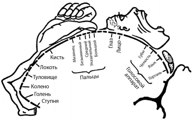 Мысли лечат тело. Живительная сила души - i_001.jpg