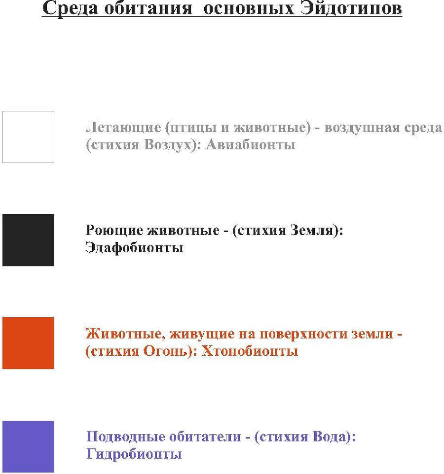 Кто ты? Плавающий, летающий или… сидящий в норе? Книга 1: Цвет твоих мыслей - _16.png